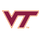 VIRGINIA TECH HOKIES