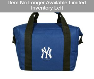 12PK COOLER BAGS